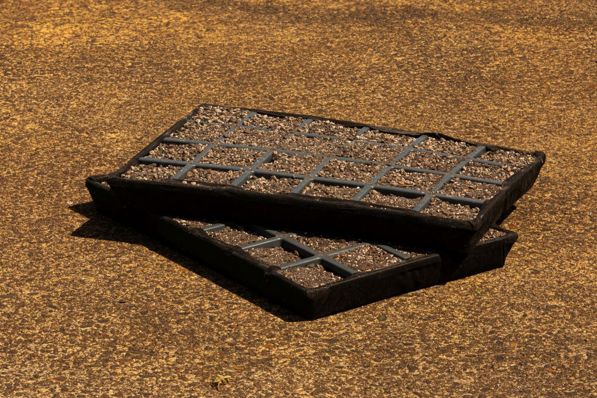 Sedemkassetten incluzive Substrat (38 x 56 cm.)