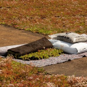 Gründachpaket Schrägdach (5-15°) - Eco - Wildblumen