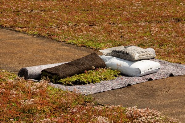 Gründachpaket Schrägdach (5-15°) - Eco - Wildblumen