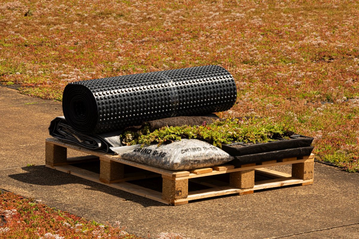 Gründachpaket Flach - Komfort mit Sedumkassetten & Wildblumen